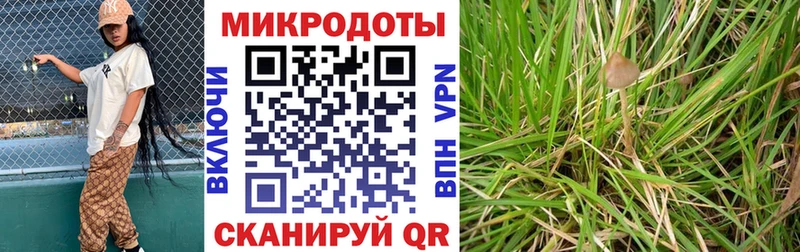Псилоцибиновые грибы прущие грибы  Купить  Струнино 